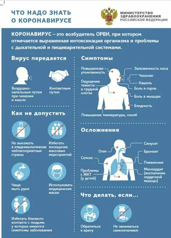изображение_2024-08-28_133149037.png